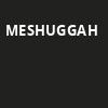 Meshuggah, Marquee Theatre, Tempe